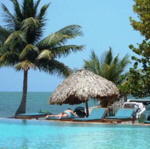 How to Make Your Summer Vacation Sustainable! Image